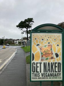 Bideford Advertising Shelter 30 Panel 4 Kingsley Road adjacent Chanter Road (inbound)