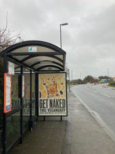 Bude Advertising Shelter 31 Panel 3 Stratton Road near Splash opposite Snowdrops