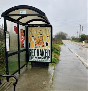 Hayle Advertising Shelter 19 Panel 3 Loggans Road opposite Loggans Way