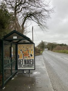 Holsworthy Advertising Shelter 43 Panel 3 A388 adjacent Dobles Lane