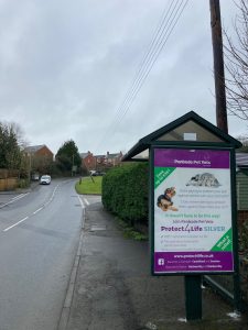 Holsworthy Advertising Shelter 44 Panel 4 A388 adjacent Coles Mill Close