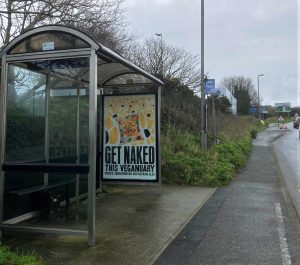 Newquay Advertising Shelter 660 Panel 3 Treloggan Road opposite Morrisons