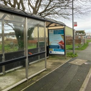 Newquay Advertising Shelter 661 panel 3 Treloggan Road adjacent Polwhele Road near Bookers