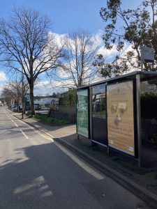 Torquay Advertising Shelter 24 Panel 2 Newton Road adjacent 138 opposite Lidl