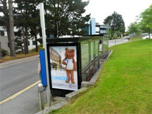 Truro Advertising Shelter 89 Panel 4 Hospital inbound Park and Ride